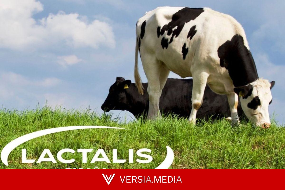 El Supremo abre la puerta a que los ganaderos reclamen más de 1200 millones de euros por el cartel de la leche
